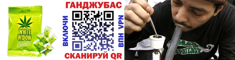 Canna-Cookies марихуана  darknet телеграм  Шахунья  где купить наркоту 
