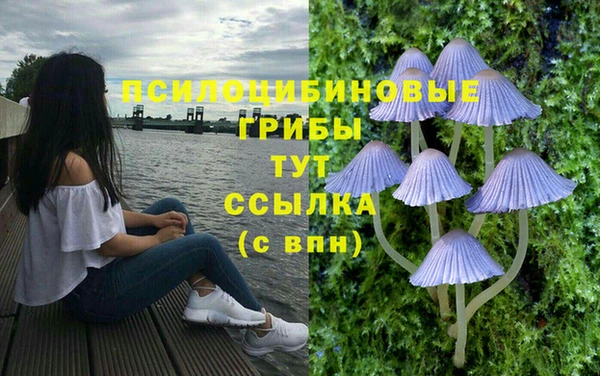 ешки Абдулино