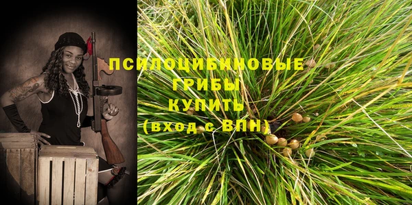 винт Абинск