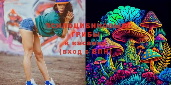 винт Абинск