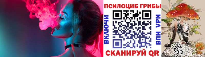 Галлюциногенные грибы мицелий  закладки  Шахунья 
